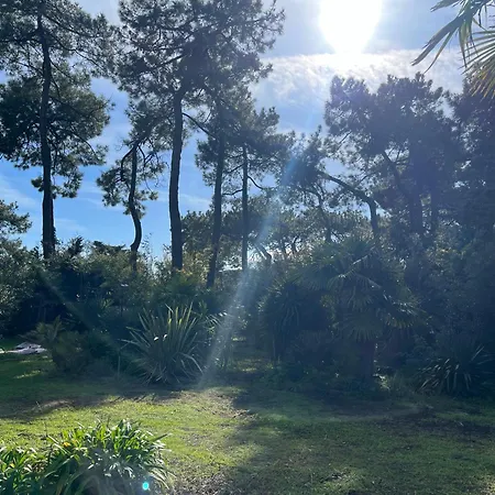 Séjour chez l'habitant Maison 